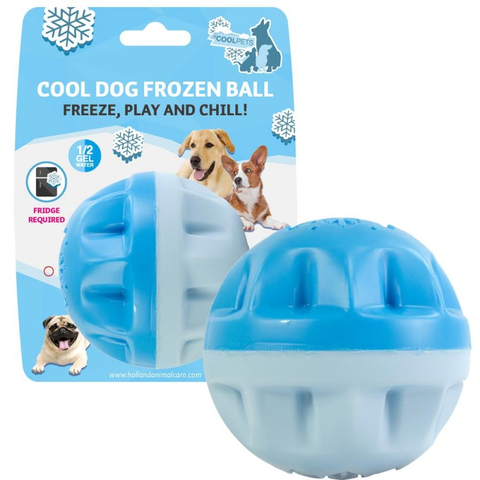 Productos refrescantes para mascotas ideales para verano